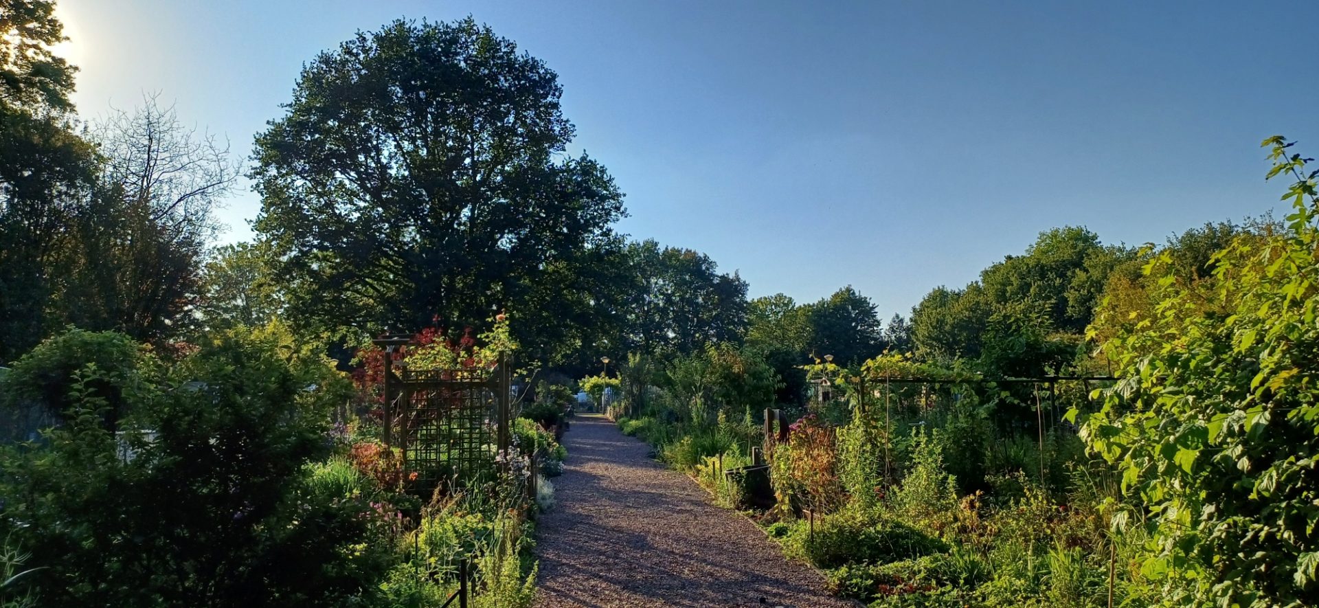 20240625 Bloementuin Sint Franciscus pad