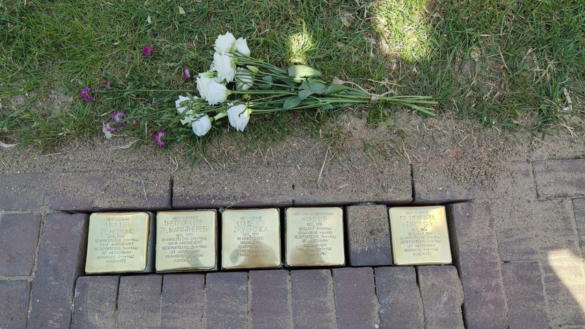 20260629 Struikelstenen BE 2