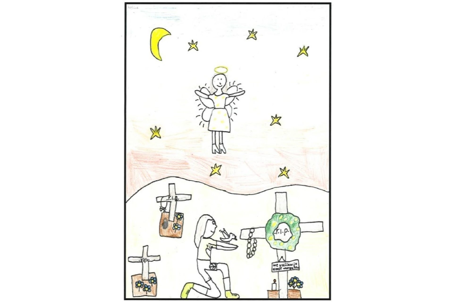 Feline horizontaal 2x3