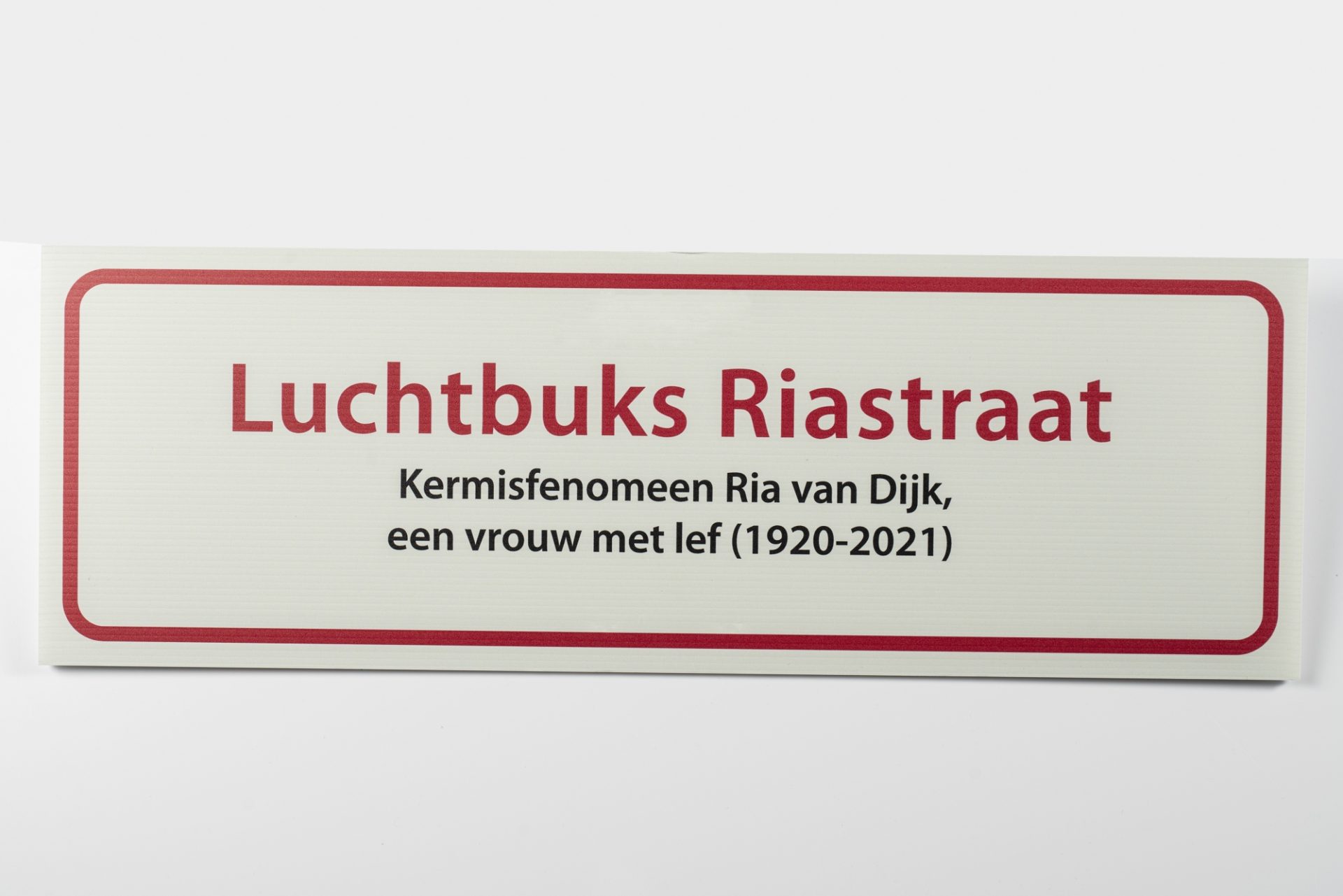SMT 2022 26 Luchtbuks Ria