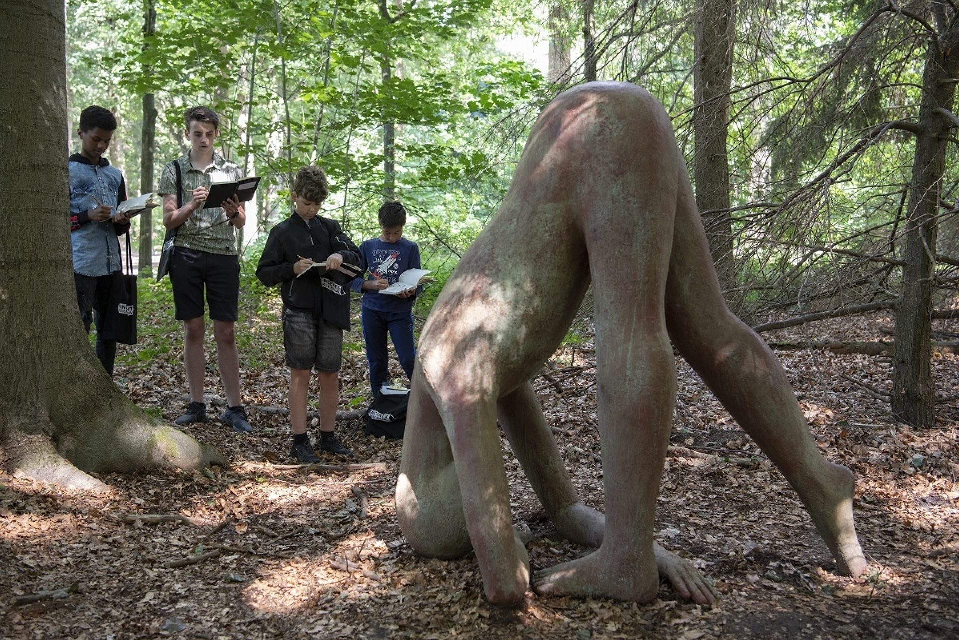 VTL Lustwarande HEY 1675 LR