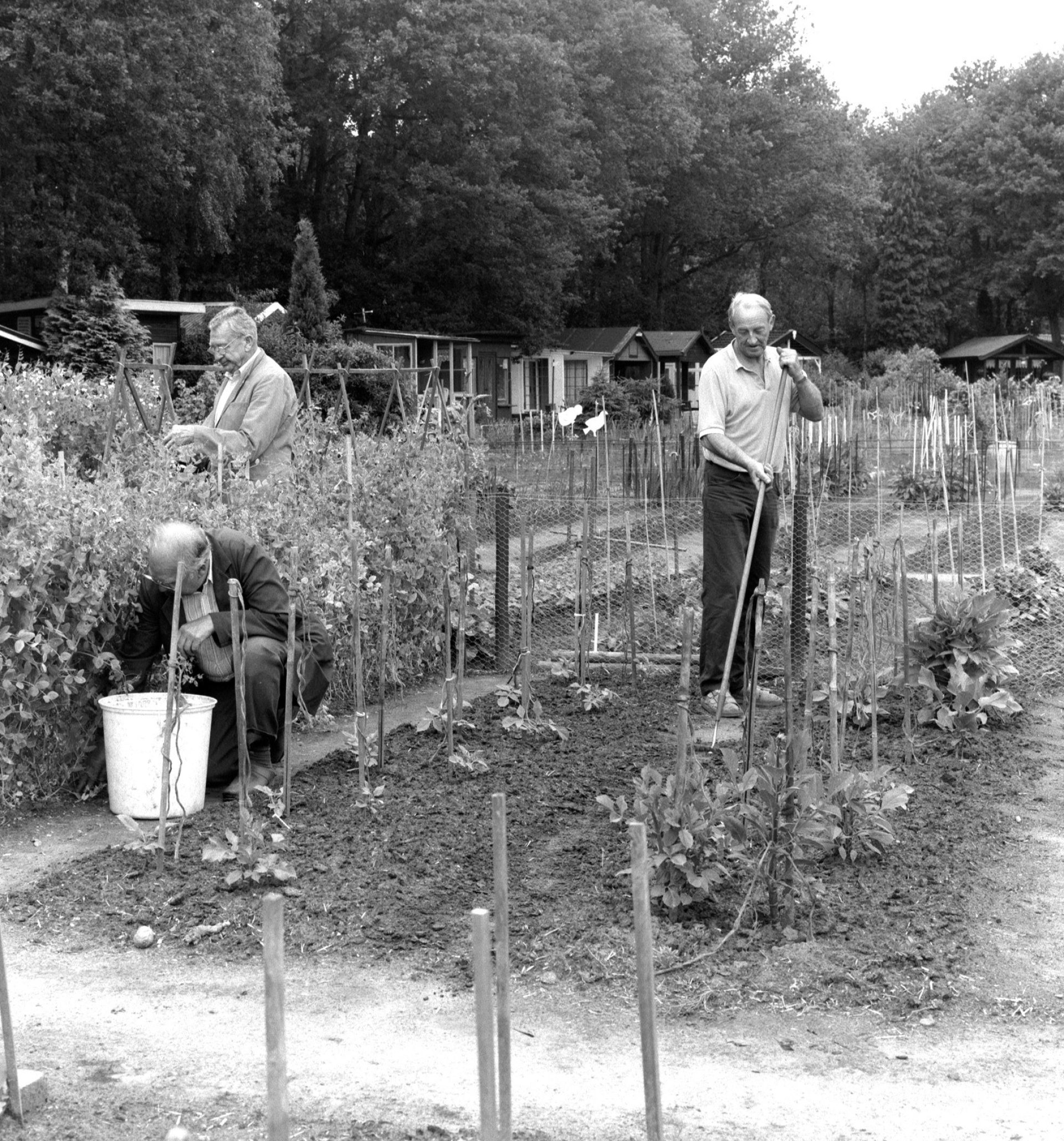 Volkstuin in Tilburg 1997 Frans van Aarle 1237 010 761 001