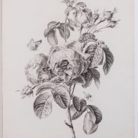 SMT00701 A spaendonckvan 01 foto Jan van Oevelen