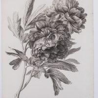 SMT00701 C spaendonckvan 03 foto Jan van Oevelen LR