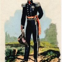 Web SMT00786 Prins WII