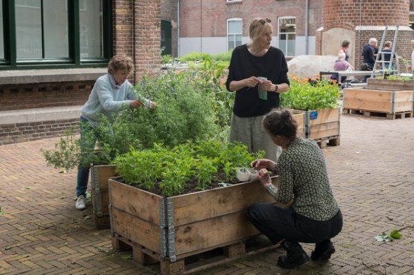 verftuin bij het Textiel Museum